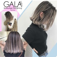 GALAweb用