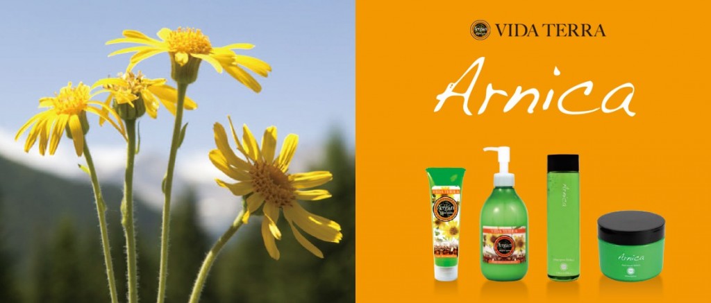 vidaterra_slide_arnica-1170x500