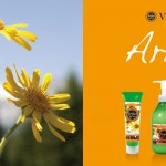 vidaterra_slide_arnica-1170x500